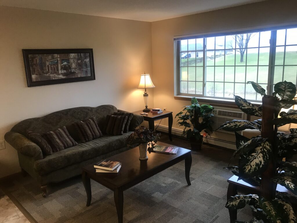 One Bedroom Apartment Style 1 - Living Room