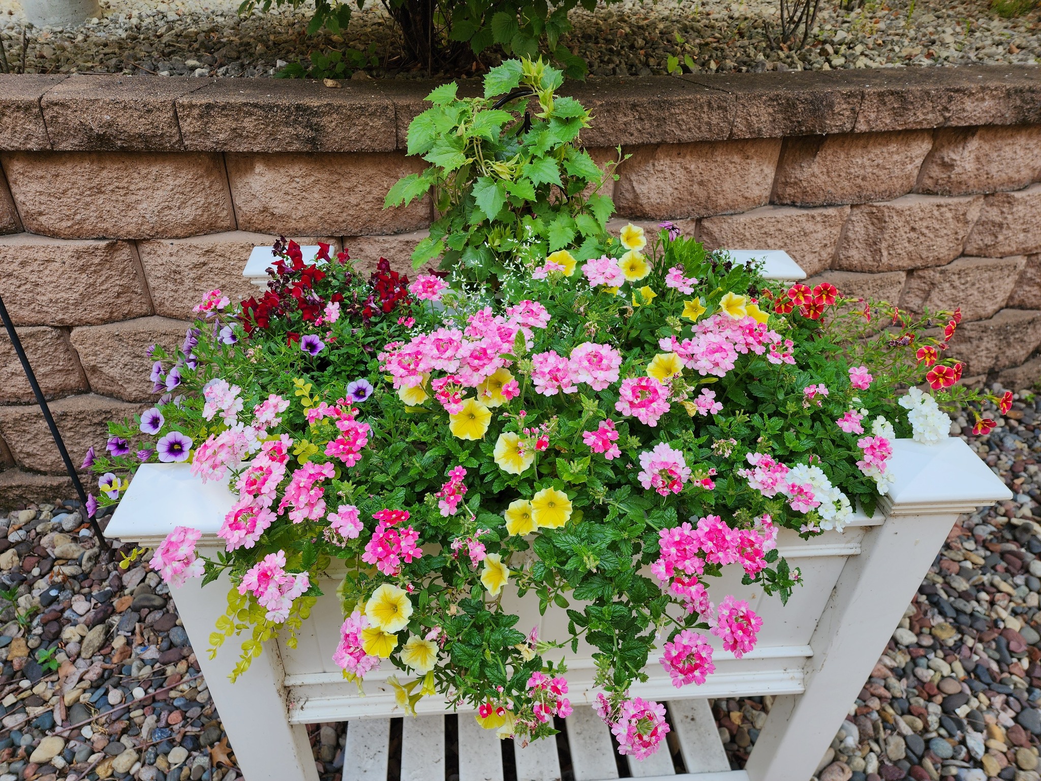 523782810 10163510069748126 1624286884687715883 N - Springbrook Assisted Living