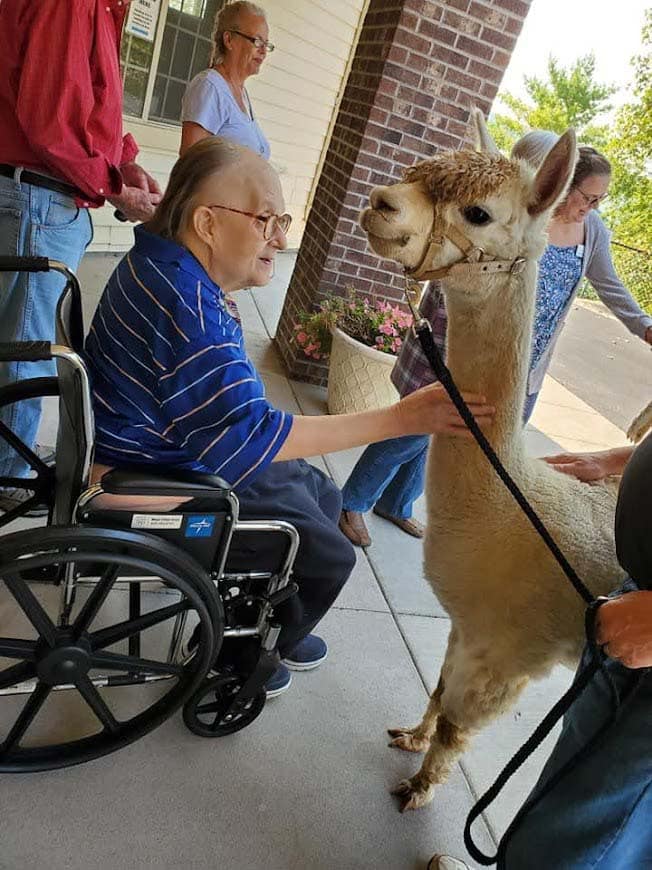 Alpaca-Visit-2022-1
