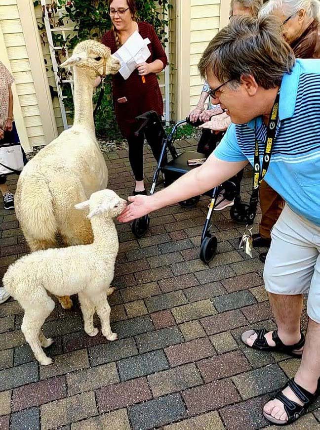 Alpaca-Visit-2022-12
