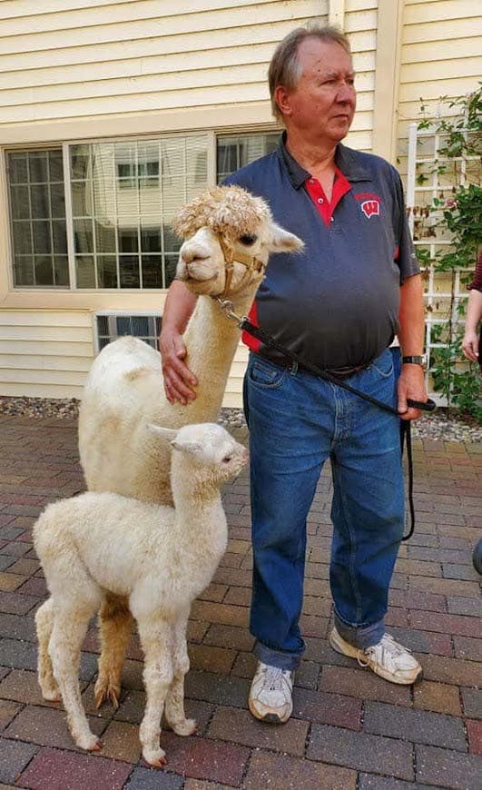 Alpaca-Visit-2022-13