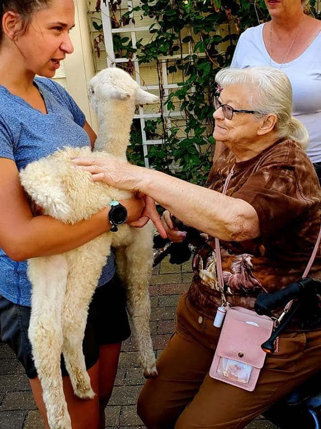 Alpaca-Visit-2022-3