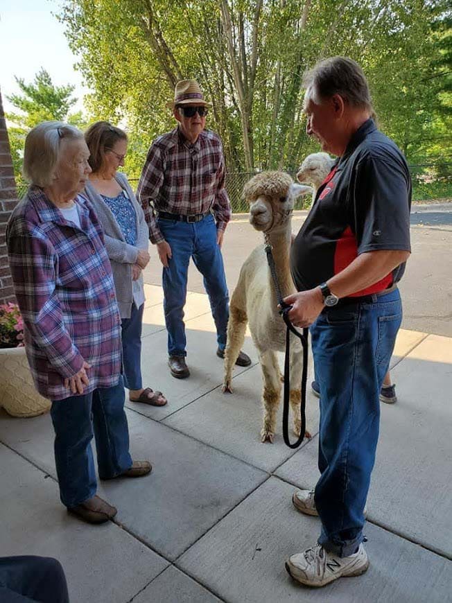 Alpaca-Visit-2022-4