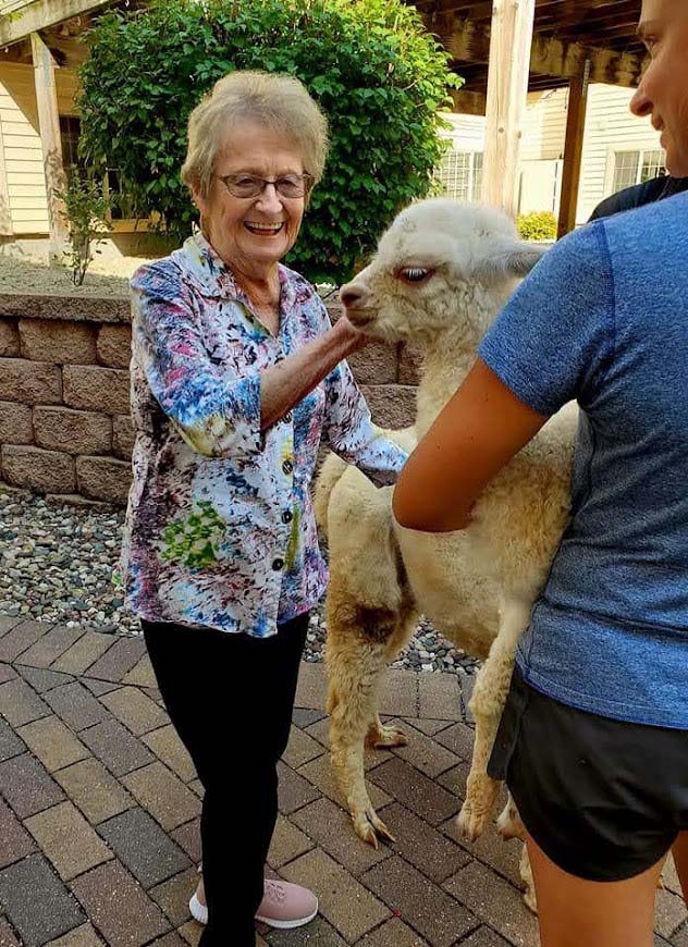 Alpaca-Visit-2022-5