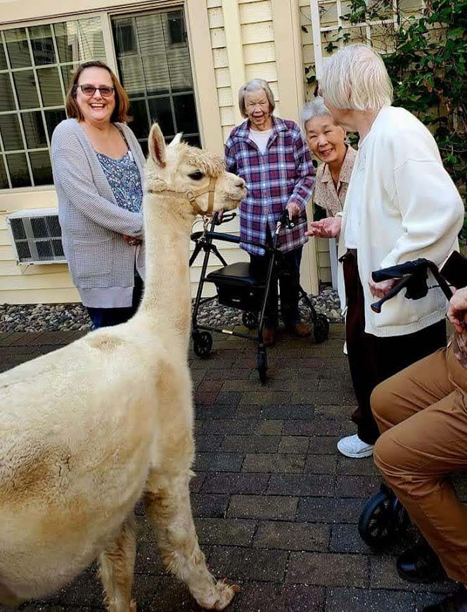Alpaca-Visit-2022-6