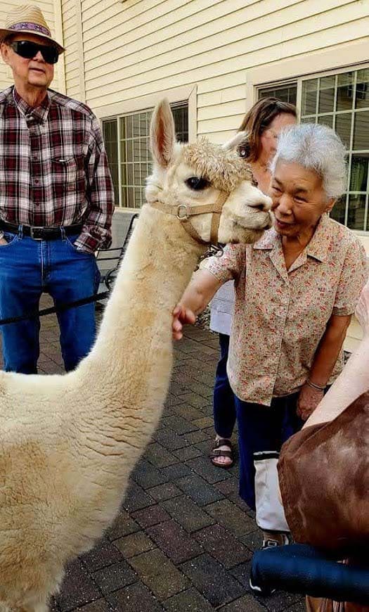 Alpaca-Visit-2022-8