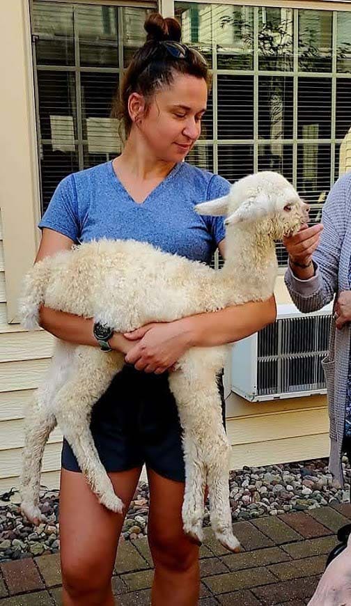 Alpaca-Visit-2022-9